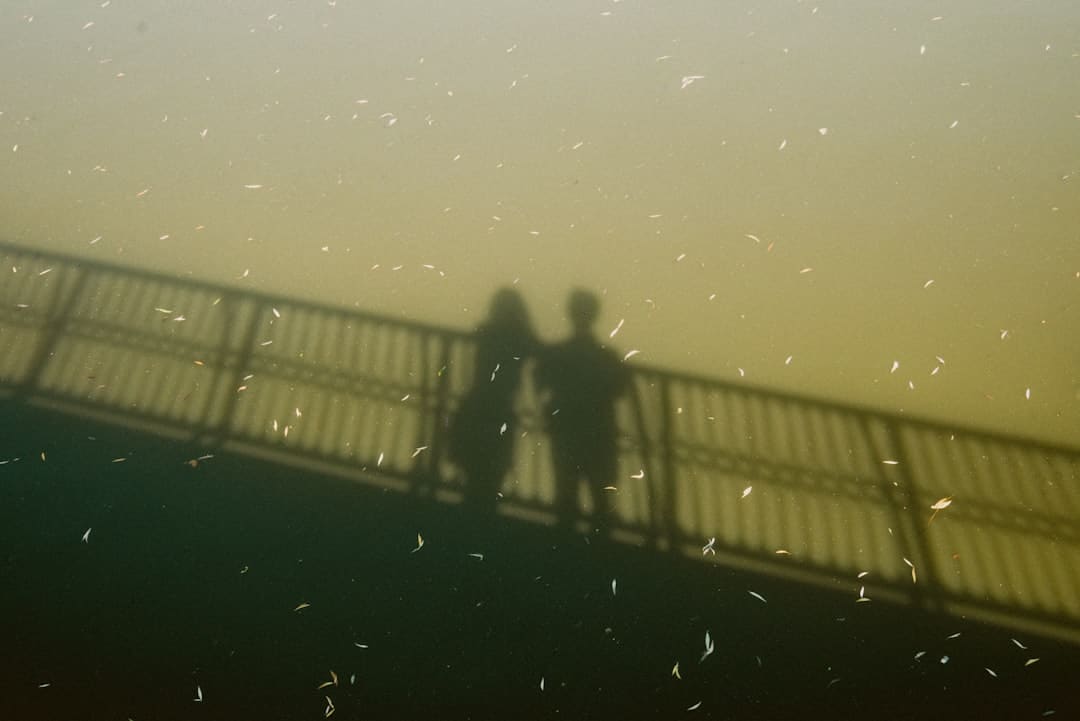 车企与智驾提供商加深合作 宝马联手Momenta发布专属智驾系统